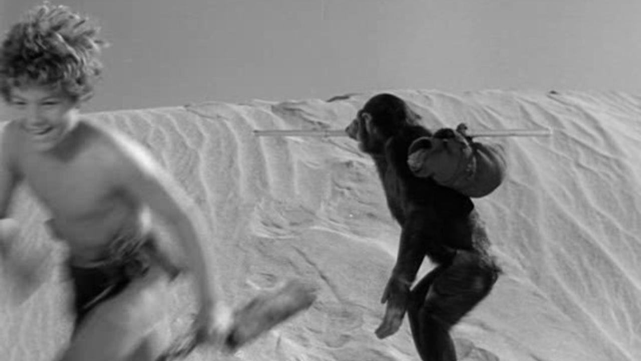 Tarzan's Desert Mystery