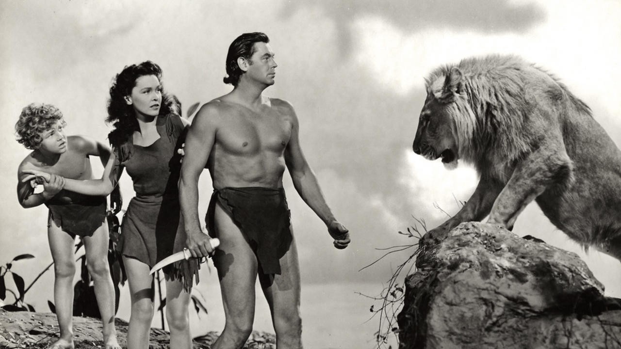 Tarzan's Secret Treasure