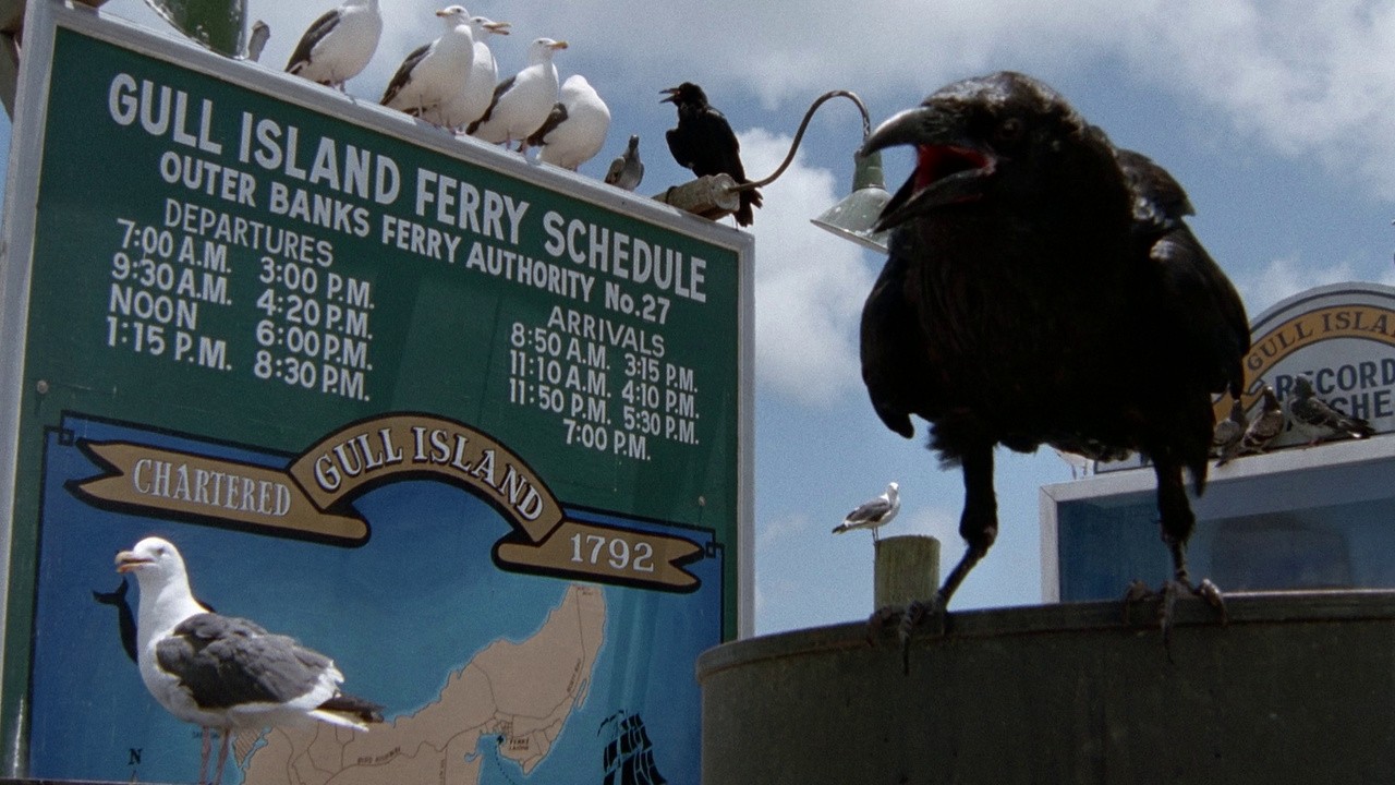 The Birds II: Land's End