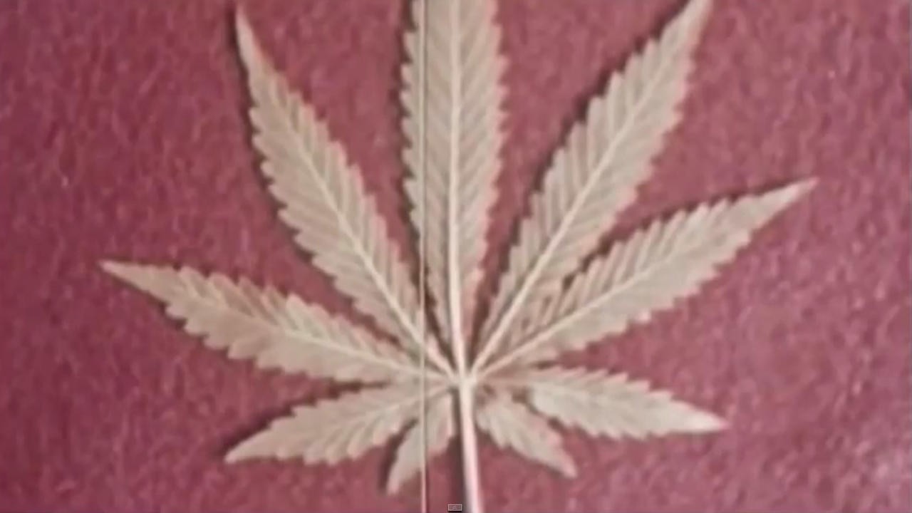The Union: The Business Behind Getting High