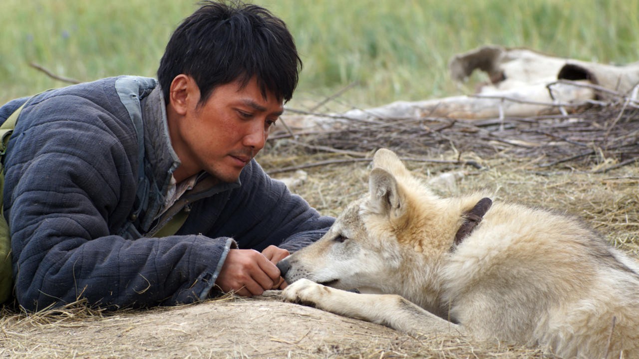 Image du film Le Dernier Loup