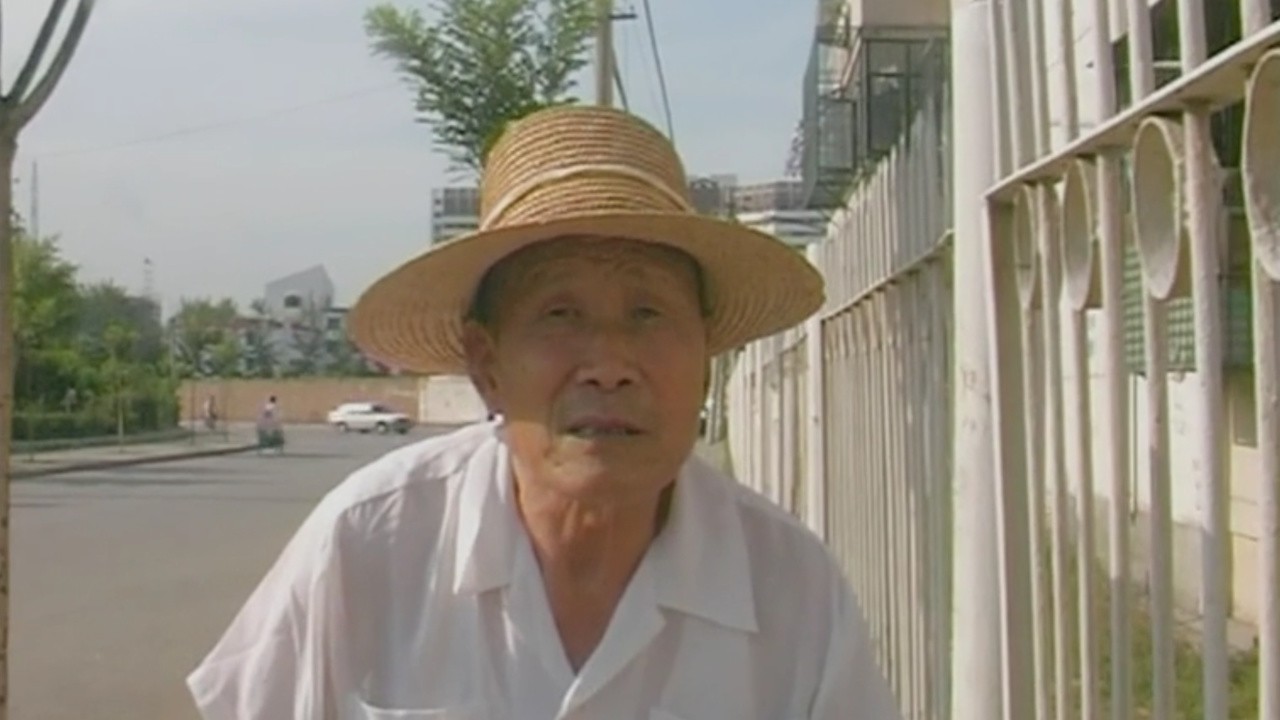 My Neighbours and Their Japanese Ghosts