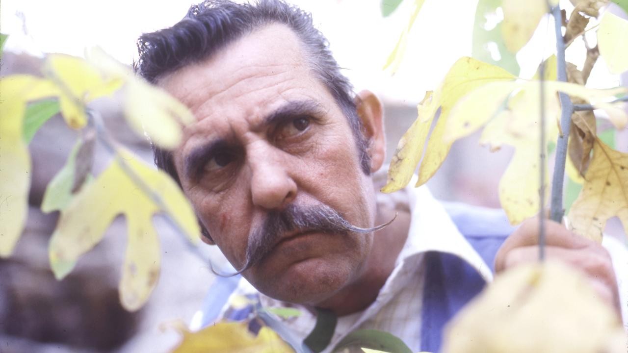 Raw Mash (1978) | MUBI