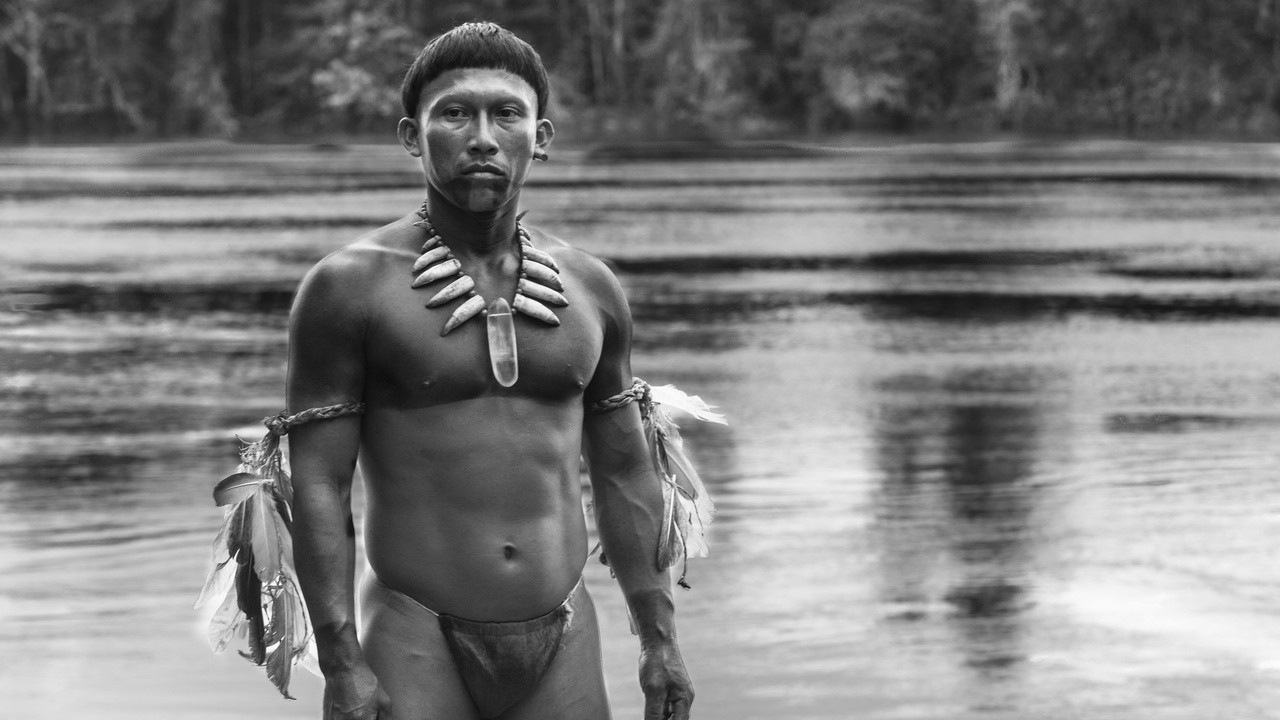 Image du film L'étreinte du serpent