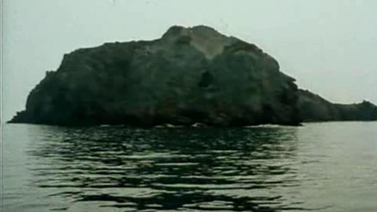 Ritorno a Lisca Bianca