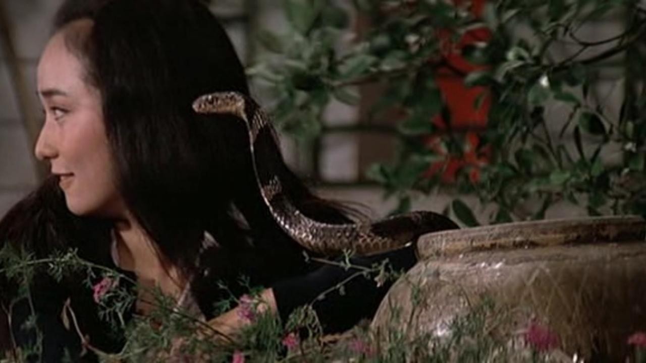 Cobra Girl
