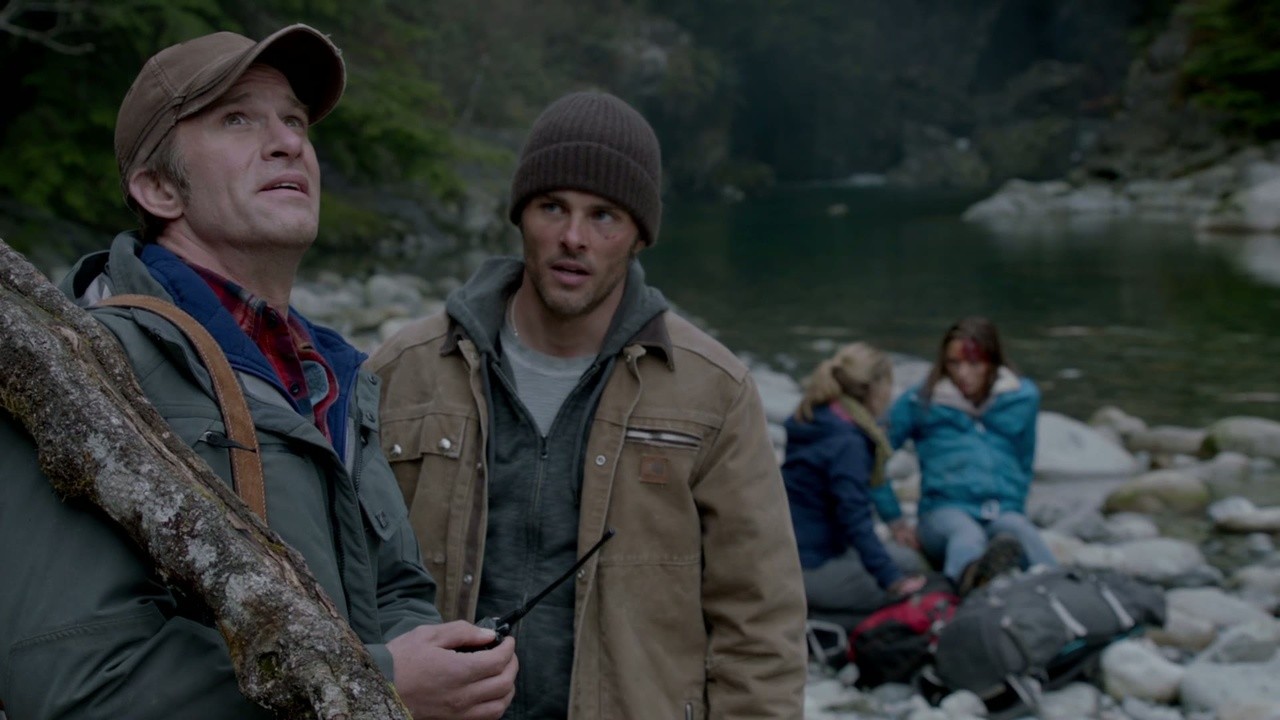 Into the Grizzly Maze