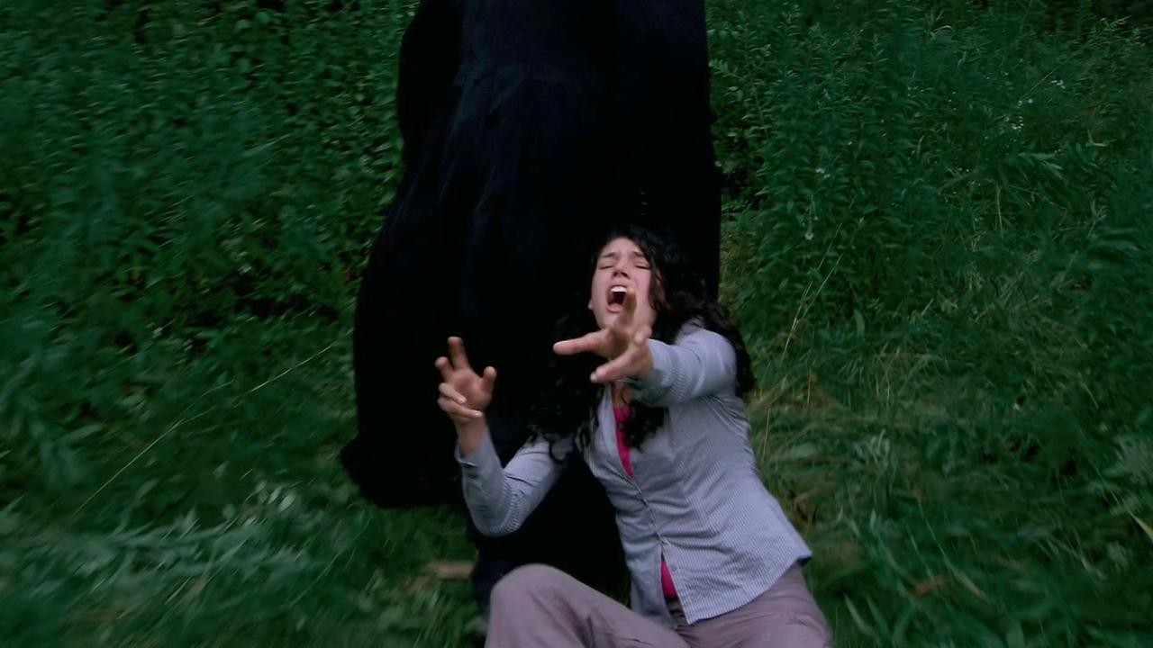 Don't Go in the Woods