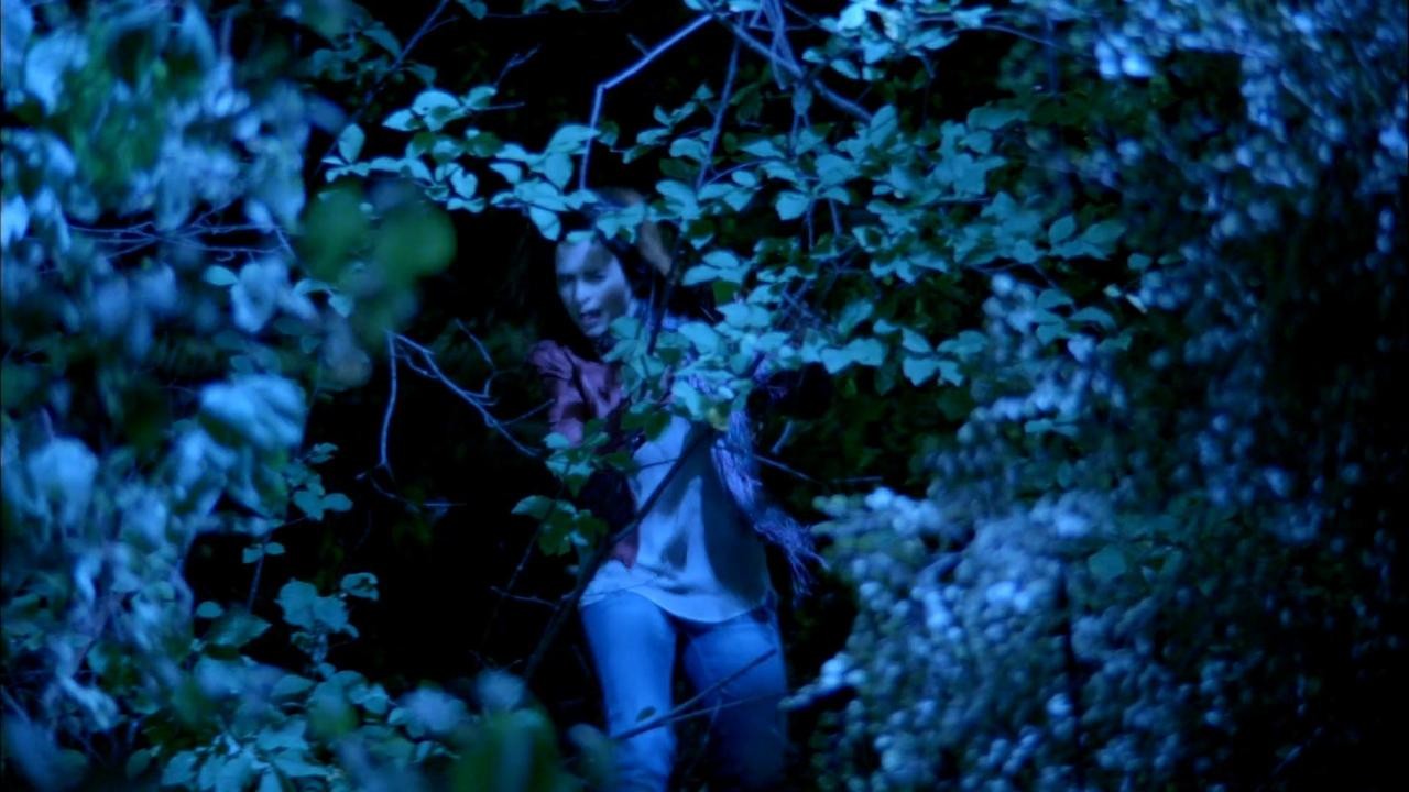 Silent Witness