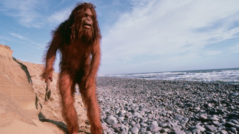 Missing Link