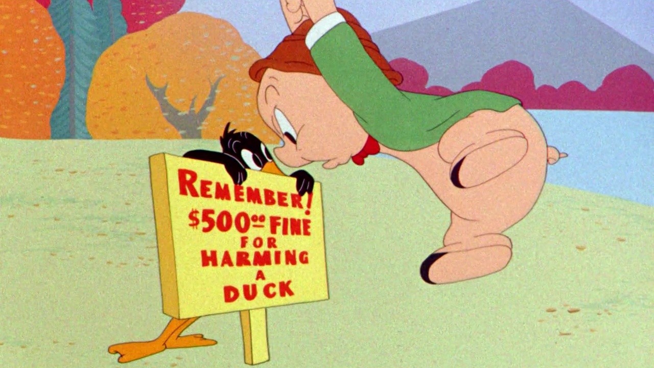 My Favorite Duck