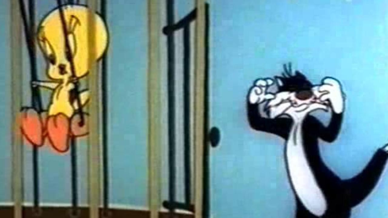 Tweety and the Beanstalk