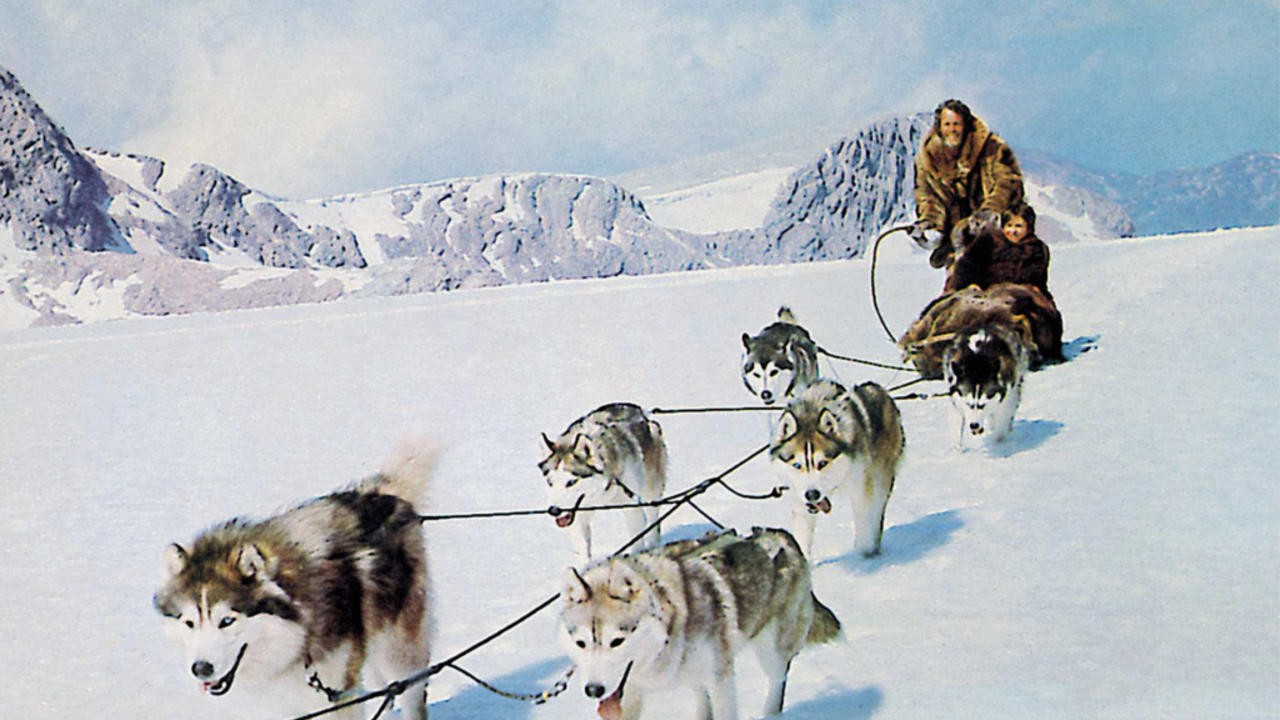 Die blutigen Geier von Alaska | Die Geier vom Shilo-River