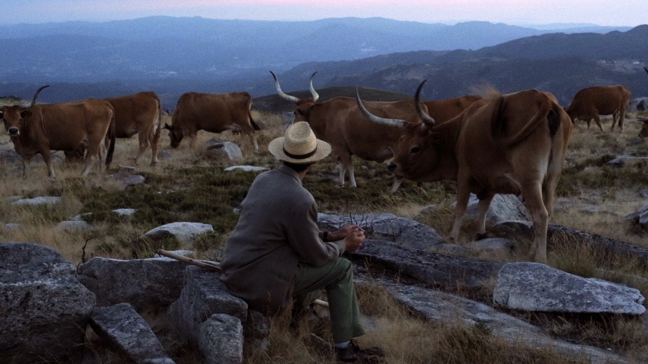 Image du film Volta à Terra