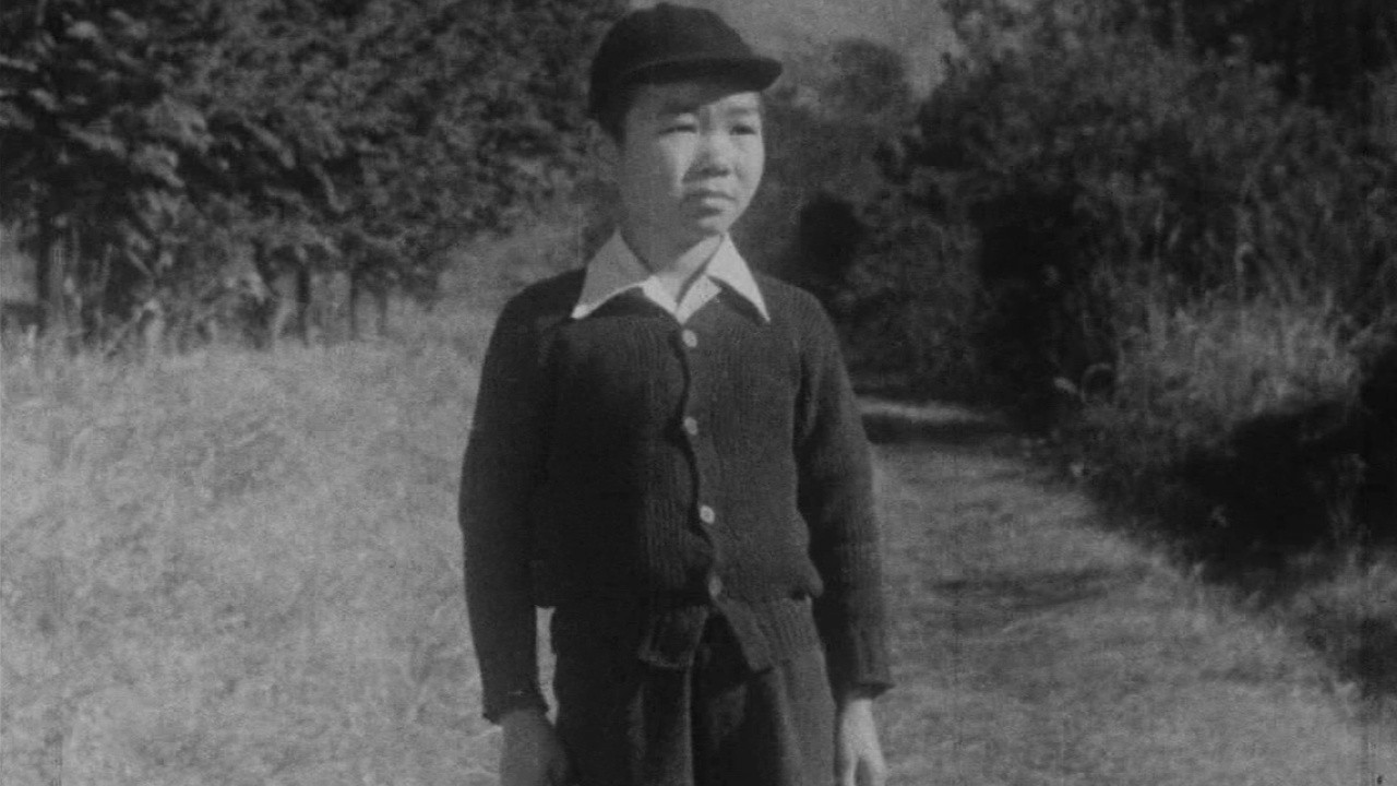 Children of the Beehive: What Happened Next