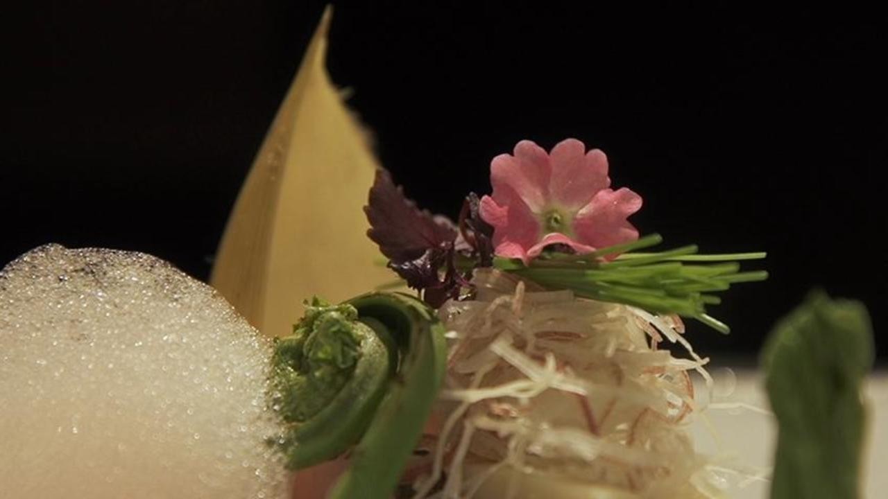 Foodies: The Culinary Jet Set