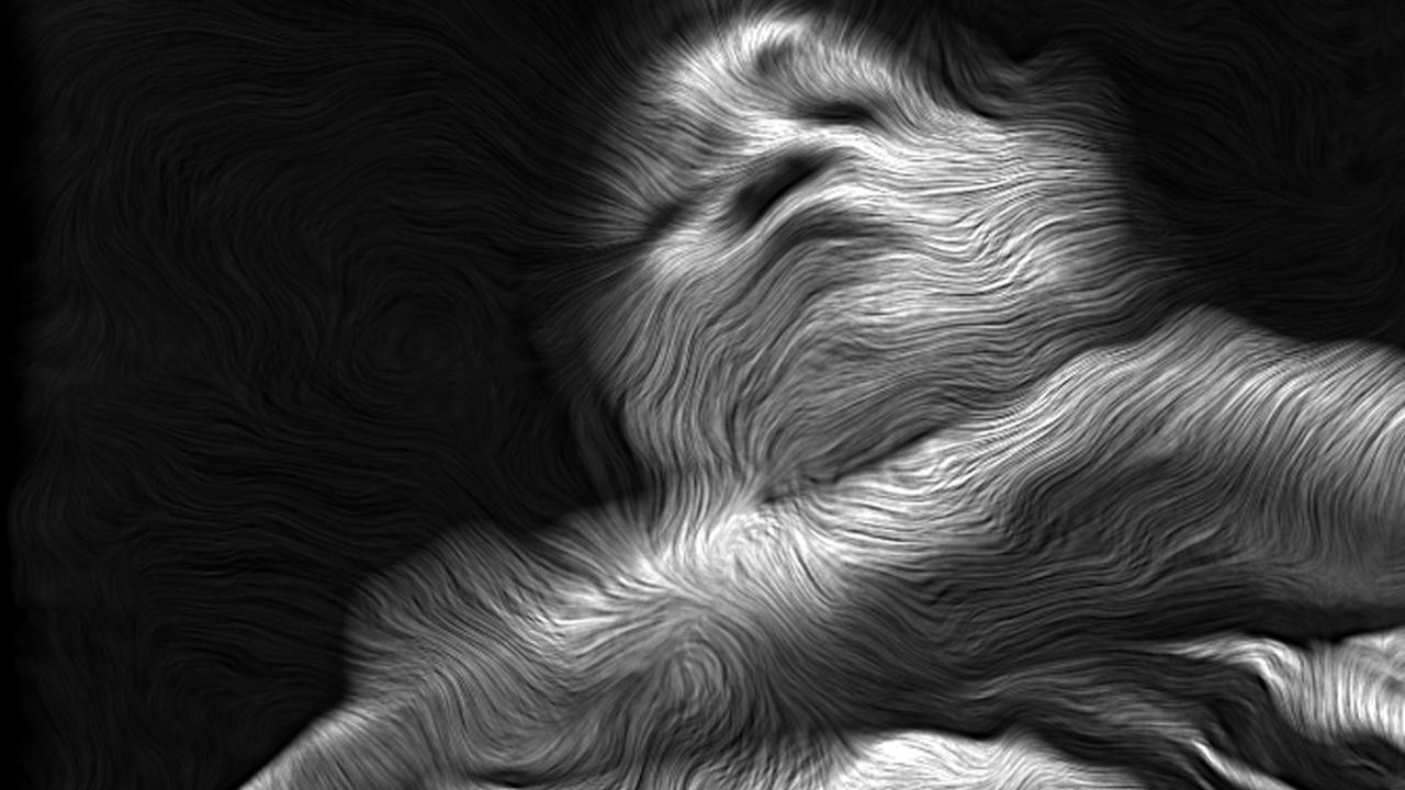Owls at Noon (Prelude): The Hollow Men