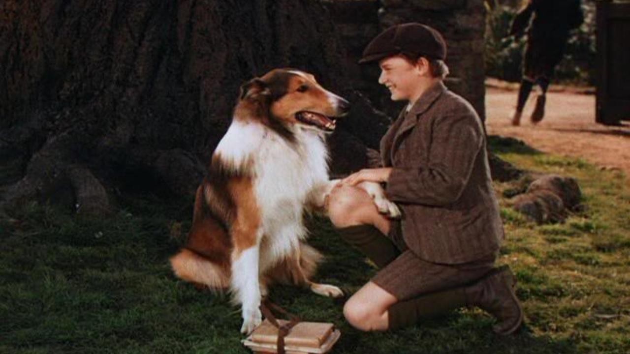 Challenge to Lassie