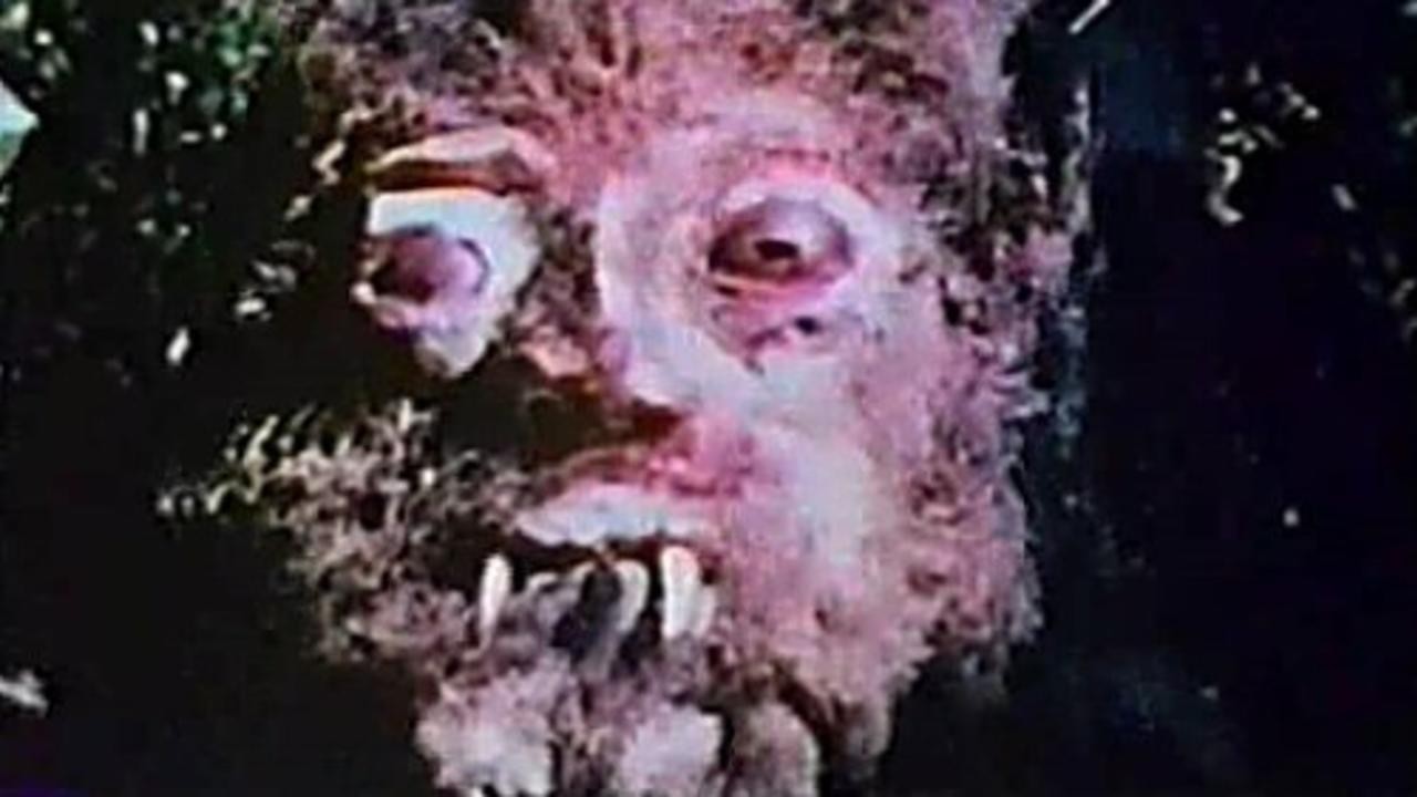 The Curse of Bigfoot