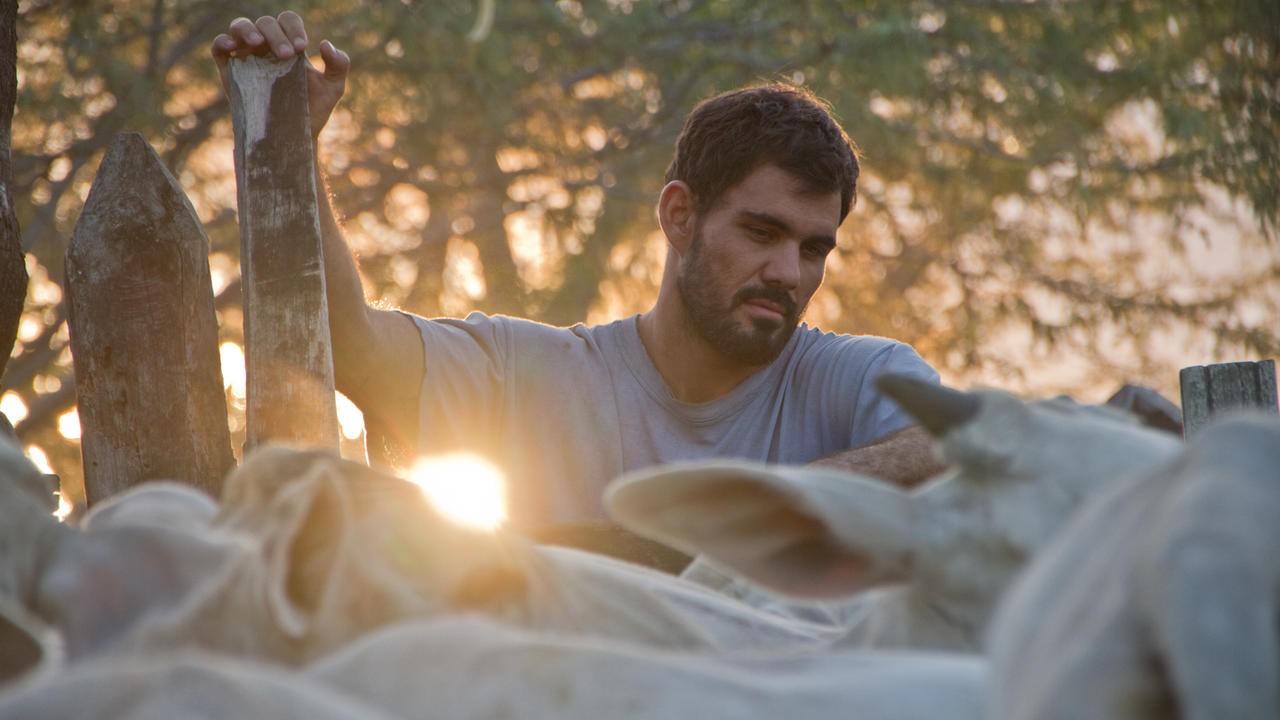 Image du film Rodéo