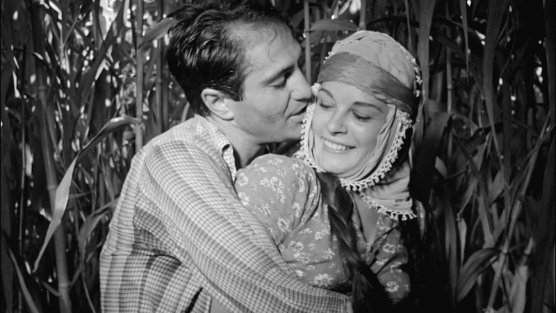 Dry Summer (1963) | MUBI Dry Summer (1963) | MUBI