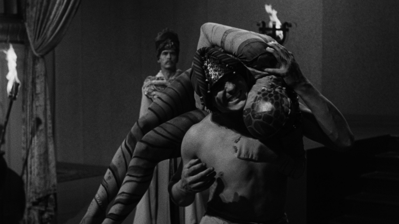 Cult of the Cobra