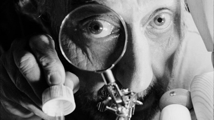 The Most Important Thing in Life Is Not Being Dead