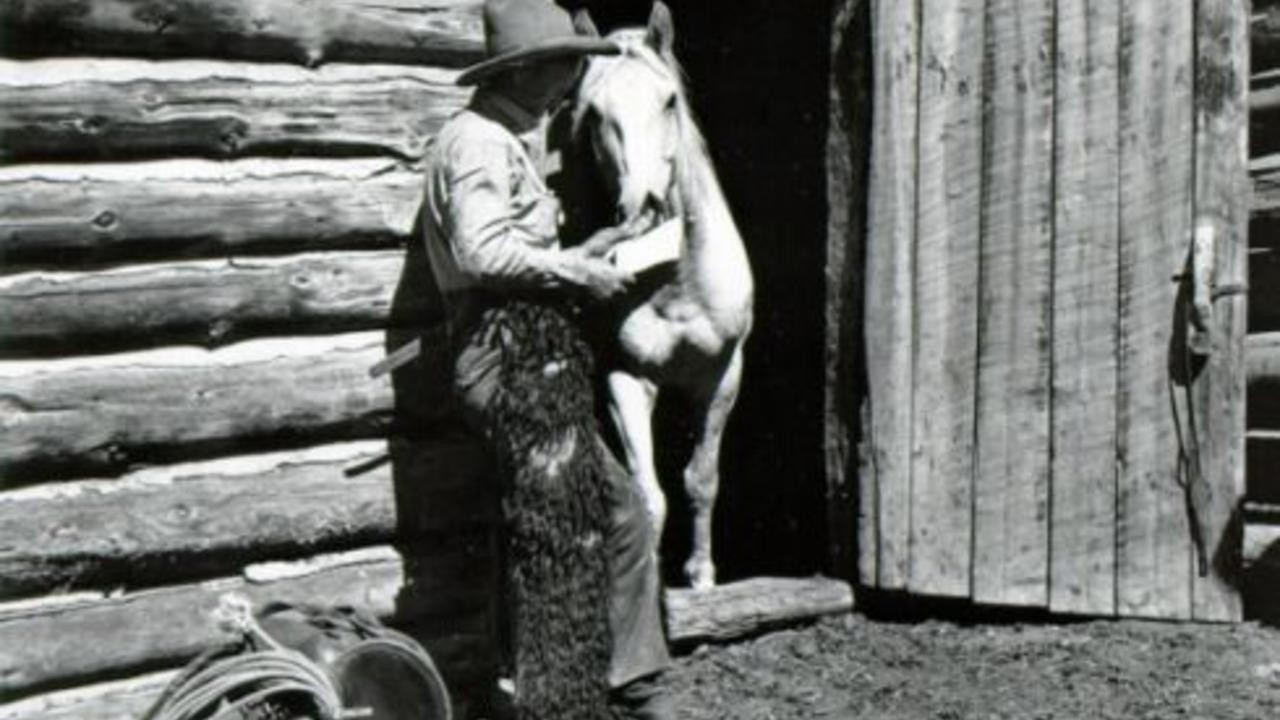 The Life of a Cowboy
