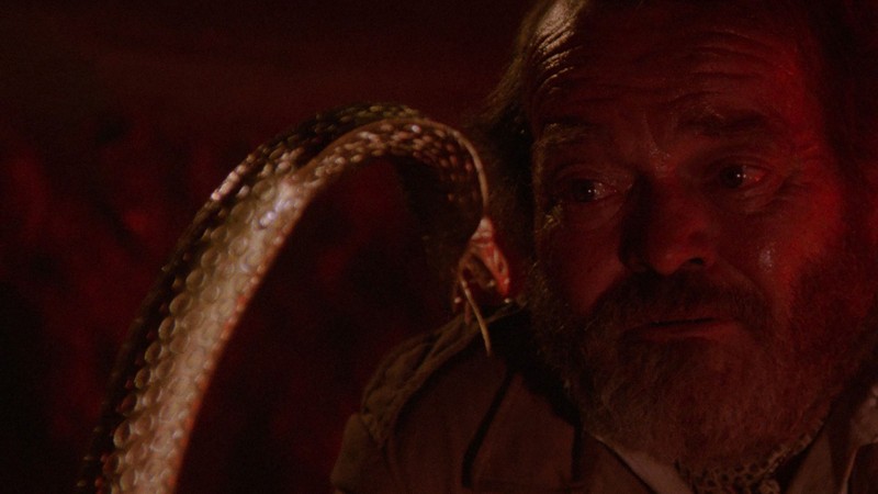 The Hunters of the Golden Cobra