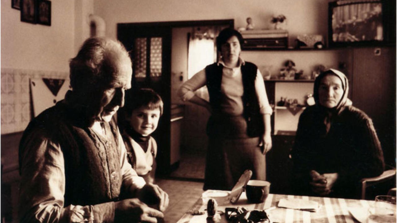 Dragoljub and Bogdan: Electricity
