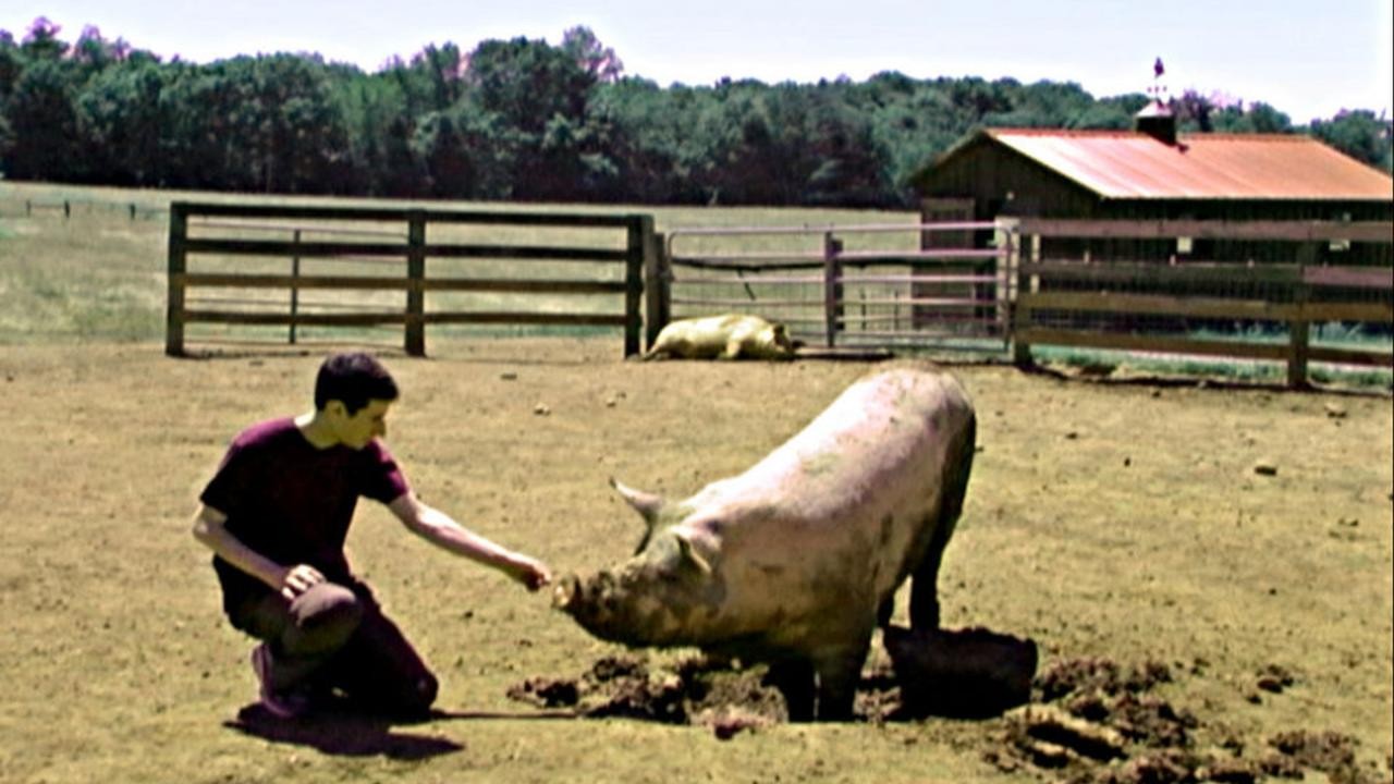 Speciesism: The Movie