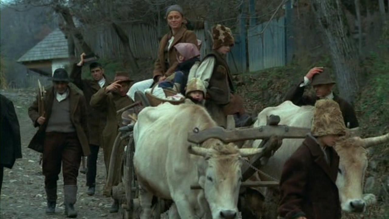 The Fox Hunt