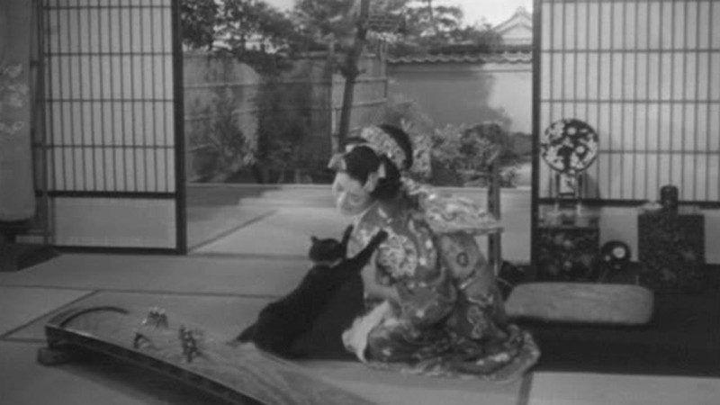 The Ghost Cat of Gojusan-Tsugi