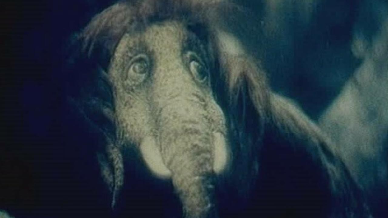 About The Little Mammoth