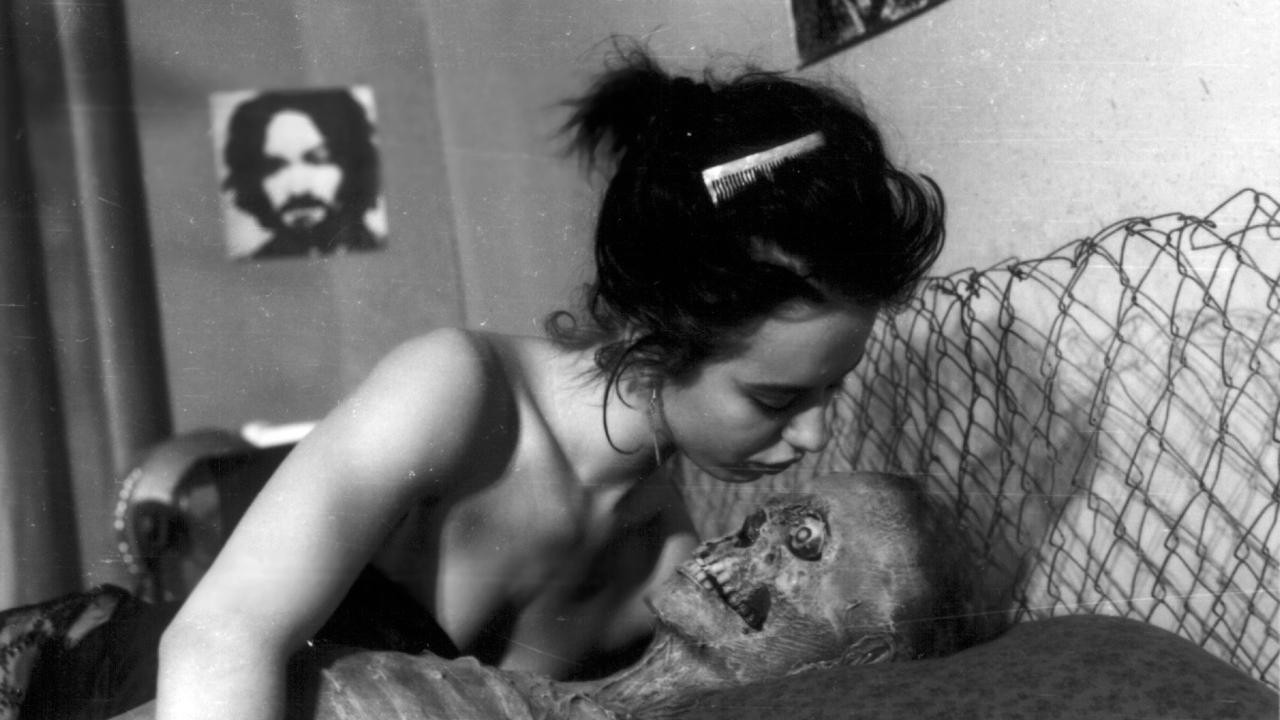 Image du film Nekromantik