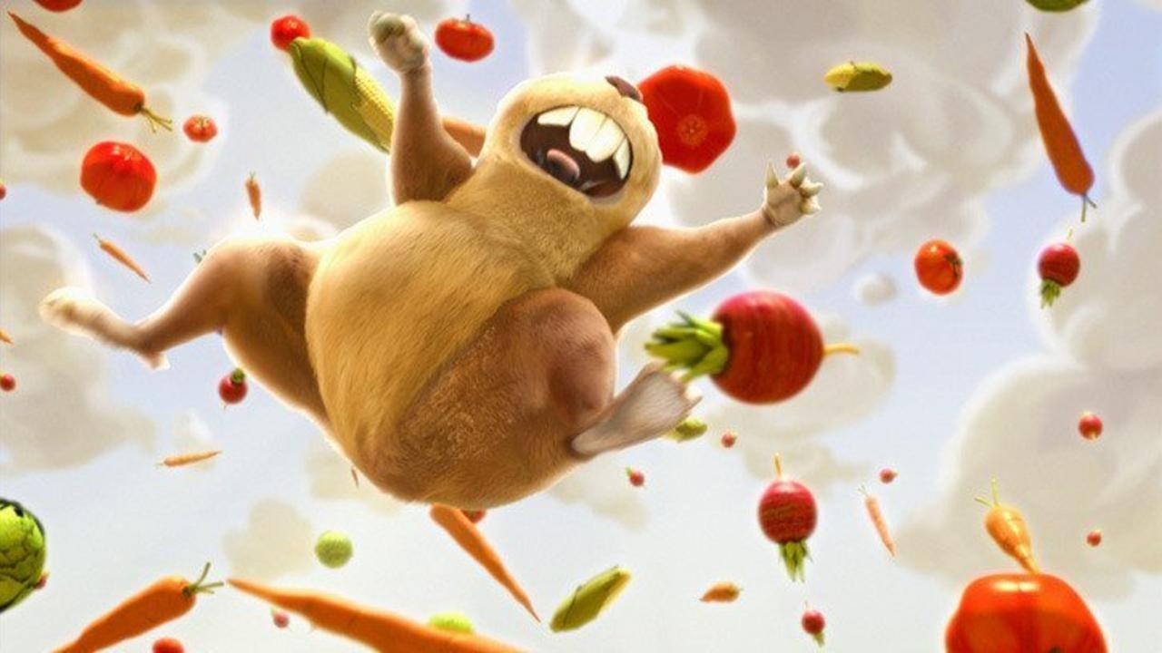 Gopher Broke