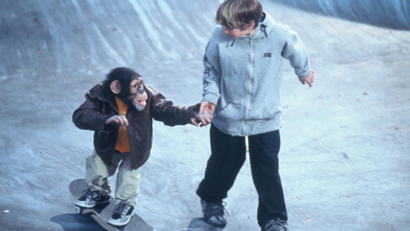 MVP: Most Vertical Primate
