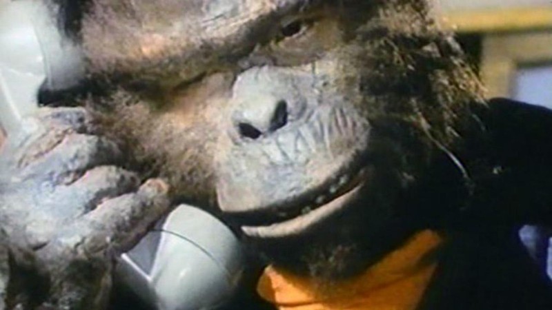 Time of the Apes