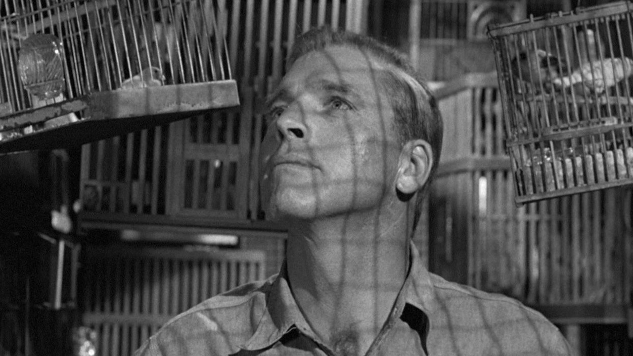 Image du film Le Prisonnier d'Alcatraz