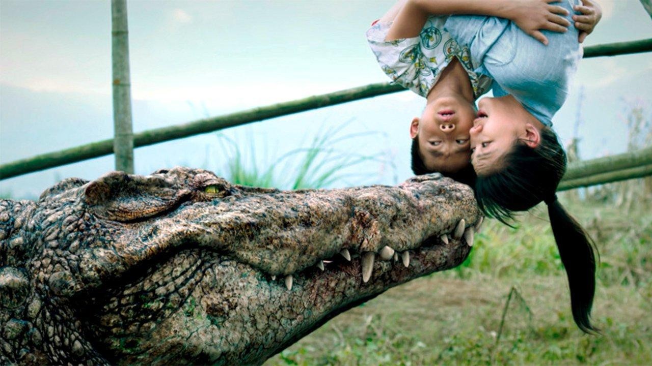 Million Dollar Crocodile | Croczilla | The Crocodile