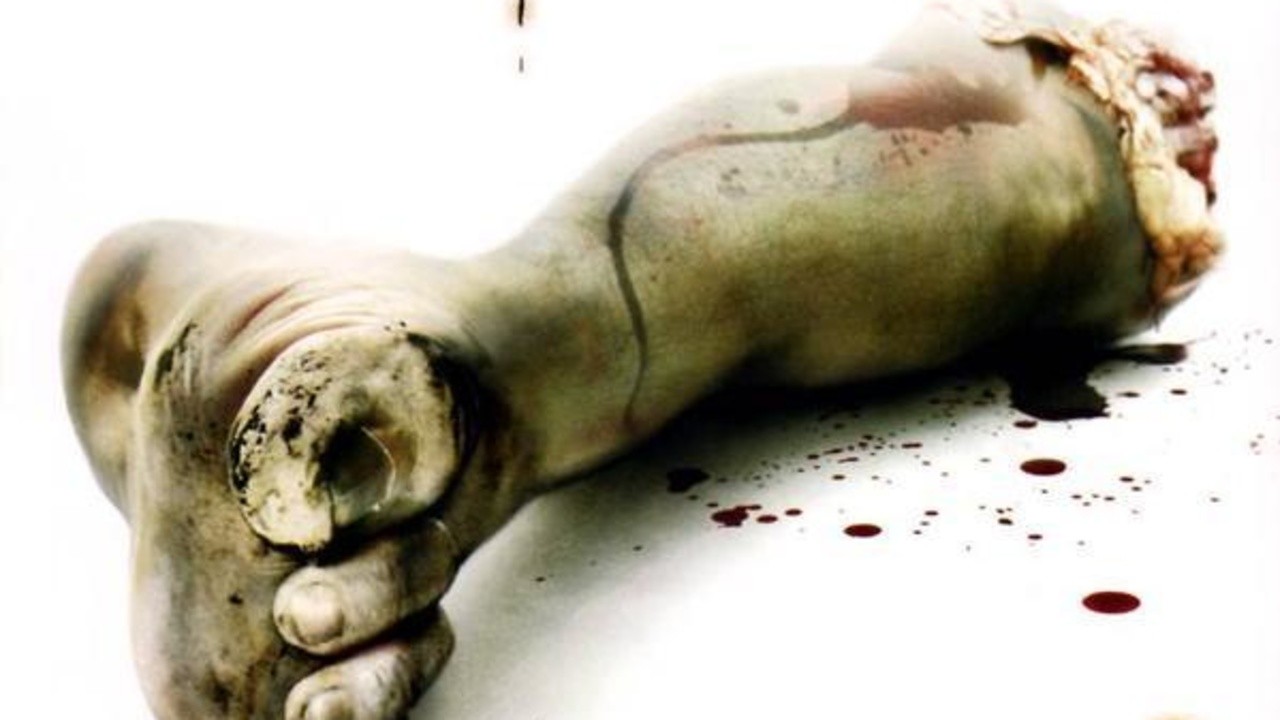 Saw Rebirth