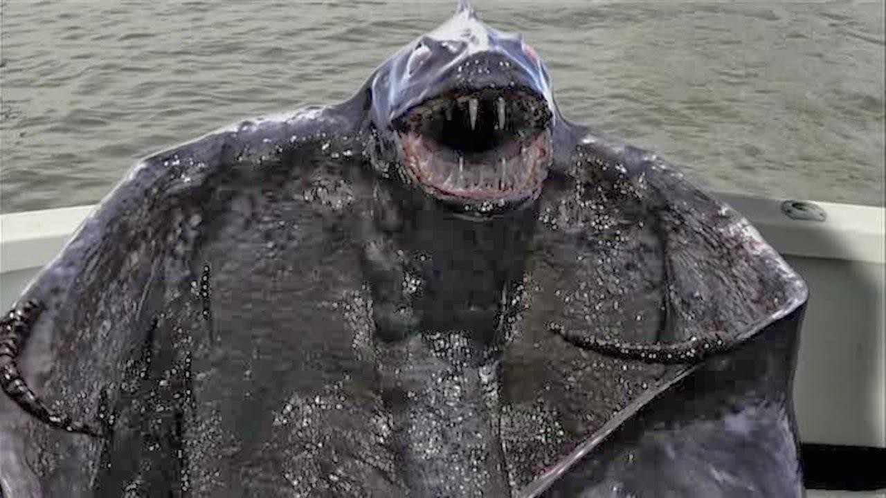 Bering Sea Beast