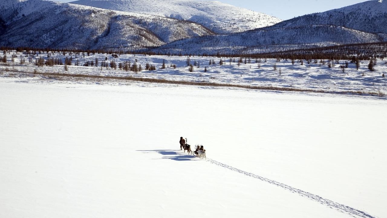 Image du film Loup