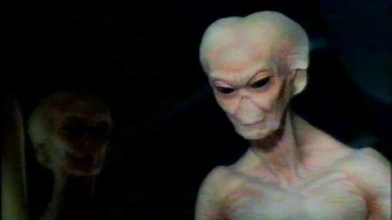 Visitors of the Night