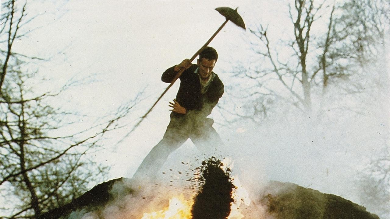 Image du film Tasio