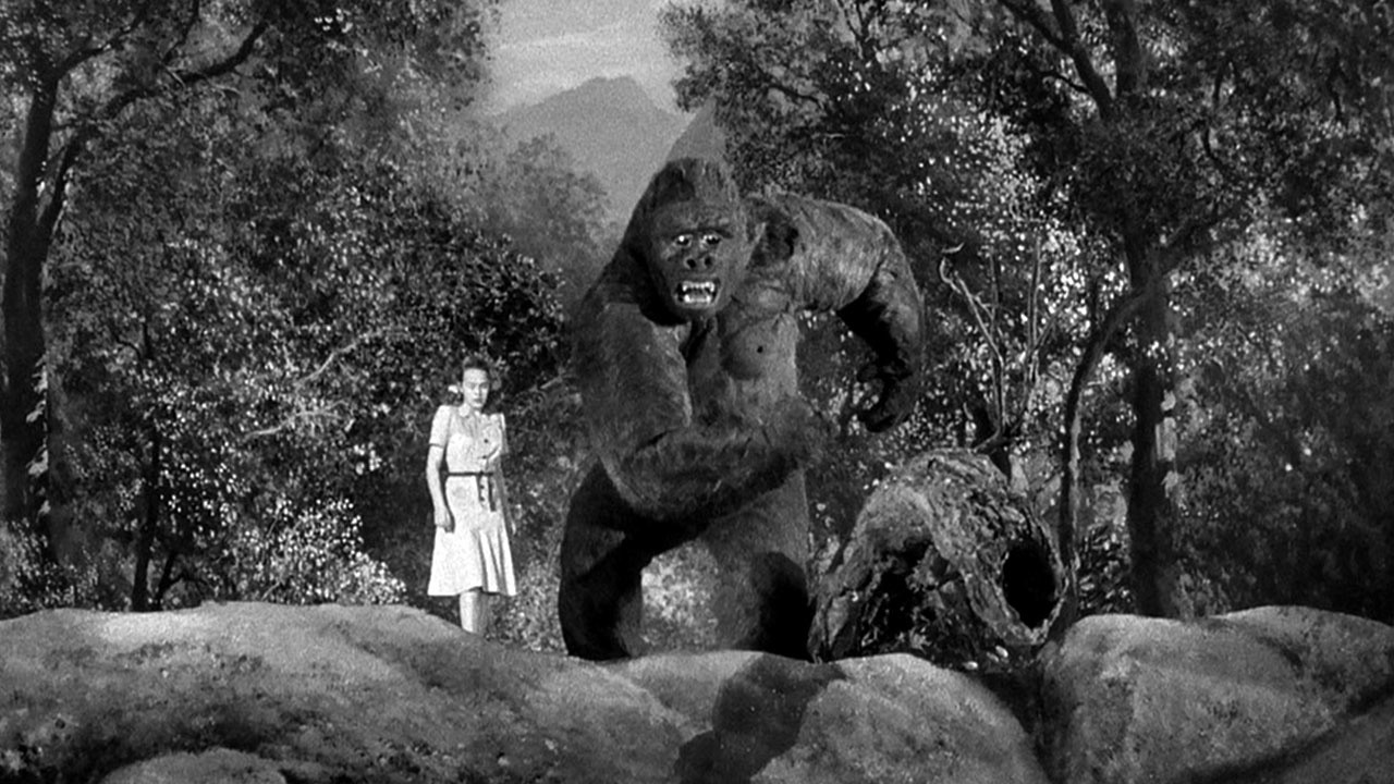 Image du film Monsieur Joe