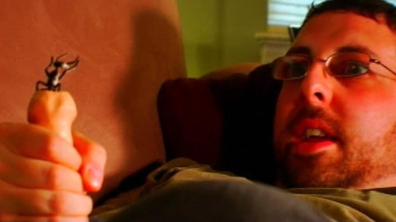 Antfarm Dickhole