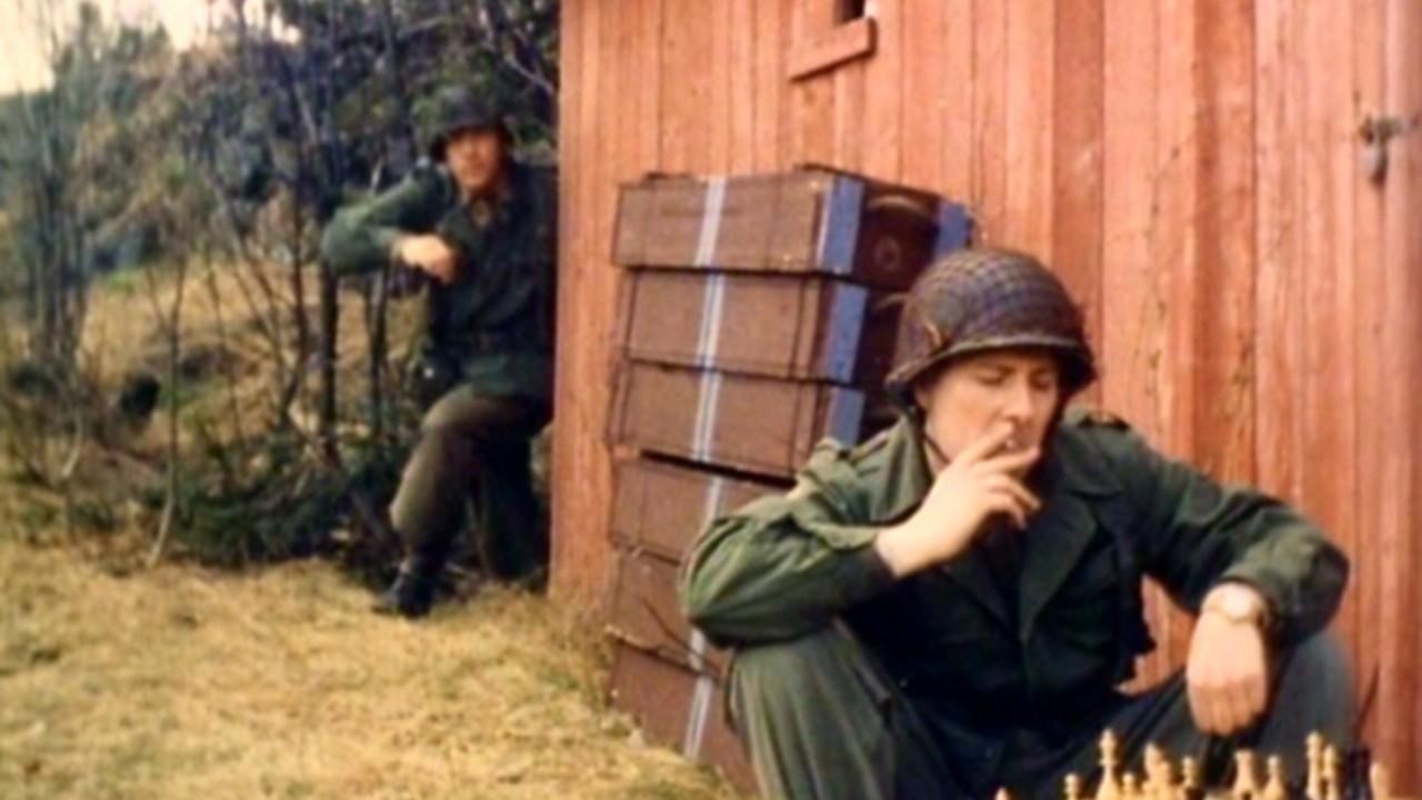 Operasjon Løvsprett