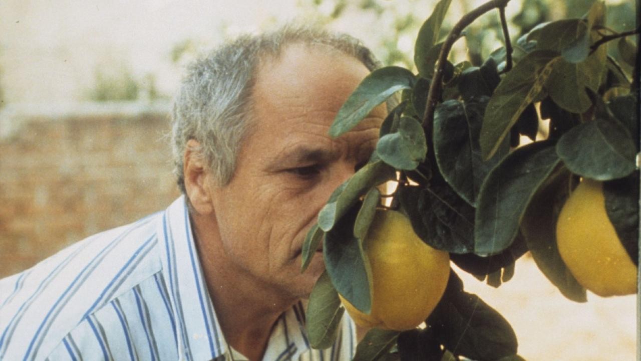 Image du film Le Songe de la lumiere
