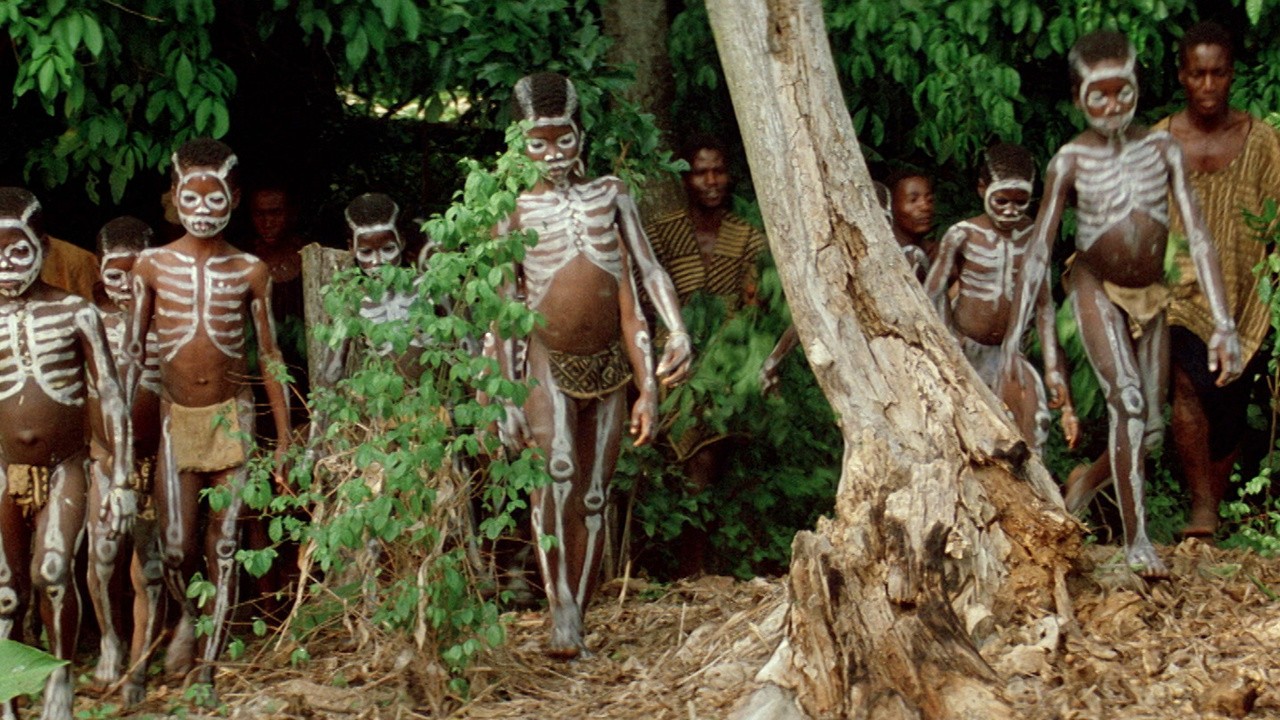 Image du film L'enfant lion